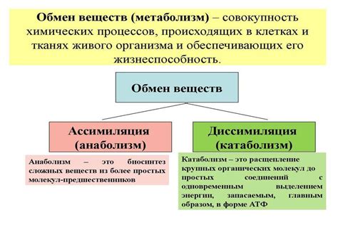 Виды разъедающих веществ