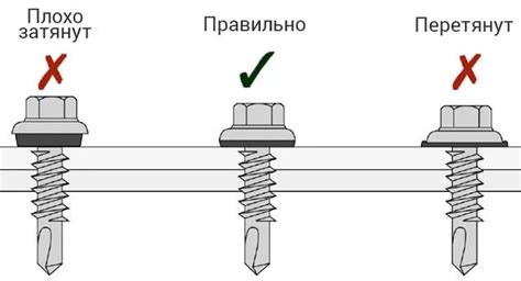 Виды саморезов для крепления профлиста