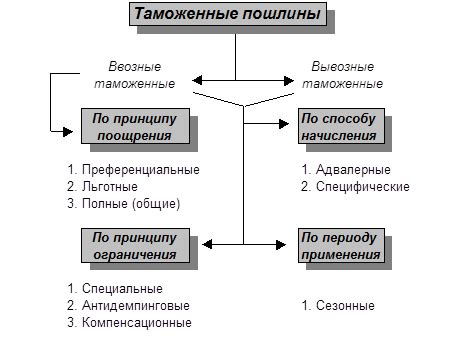 Виды таможенных пошлин