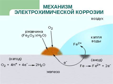 Виды электрохимической коррозии металлов