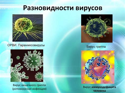 Вирусные инфекции и их возбудители