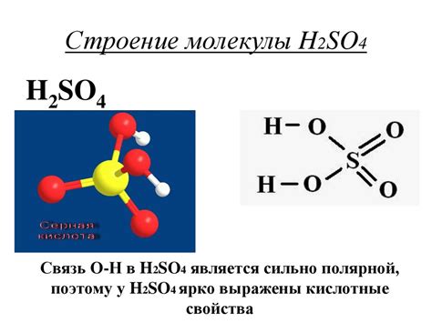 Вклад разбавленной серной кислоты в образование сульфатов