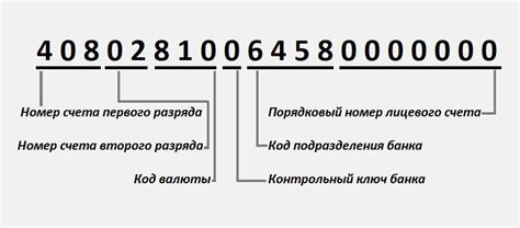 Владелец номера 89515200611: расшифровка и информация