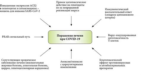 Влияние вируса COVID-19 на рецепторы вкуса