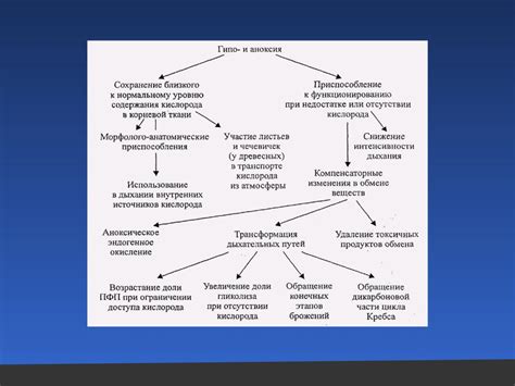 Влияние внешних факторов на процесс