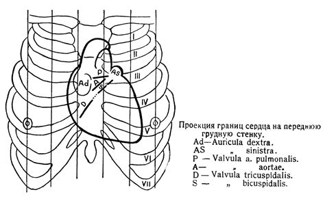 Влияние гематомы на грудную железу