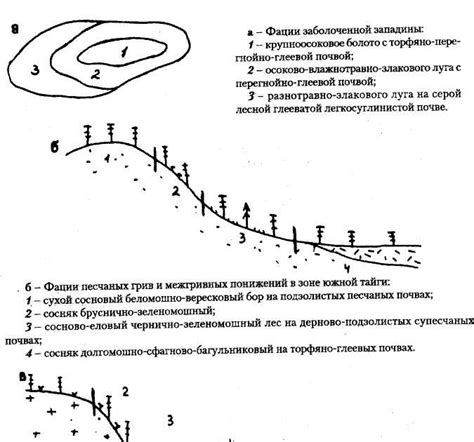 Влияние геосистем