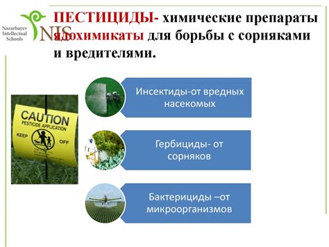 Влияние добычи тантала на окружающую среду и проблемы устойчивого развития