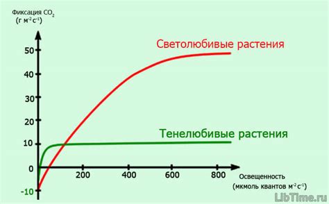 Влияние интенсивности света на выход фотоэлектрона