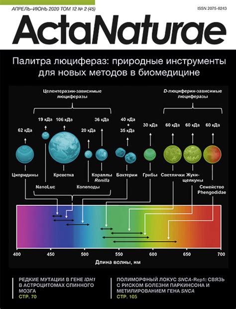 Влияние ионов металлов на эффективность биохимических процессов