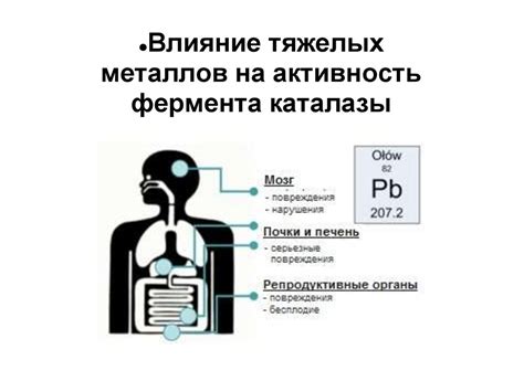 Влияние ионов тяжелых металлов на активность ферментов