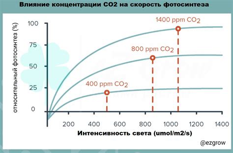 Влияние концентрации углекислого газа на скорость реакции с металлами