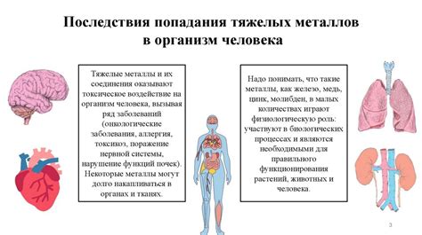 Влияние летучих соединений тяжелых металлов на здоровье