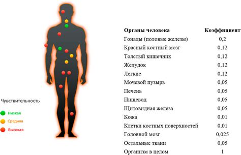 Влияние магнезии на организм человека