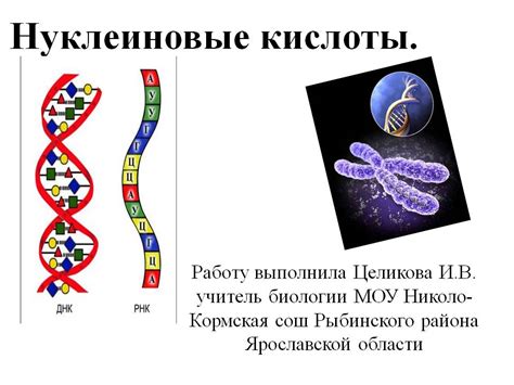 Влияние металла на функции и свойства ДНК