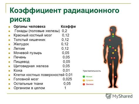 Влияние на организм человека