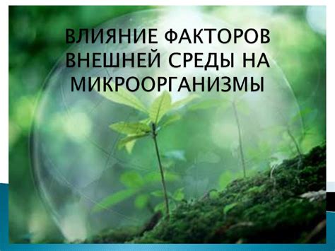 Влияние окружающей среды на активацию гена геликса