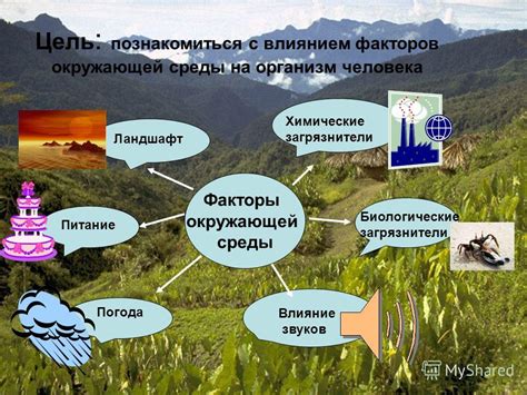 Влияние окружающей среды на взаимодействие щелочноземельных металлов и кислородный выброс