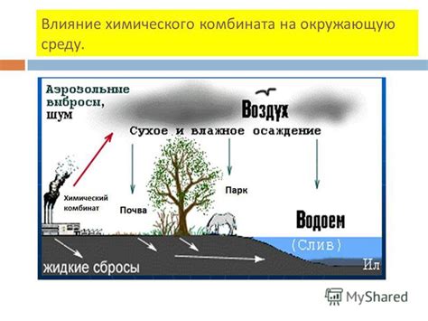 Влияние олова на окружающую среду