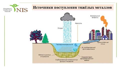 Влияние пестицидов на концентрацию тяжелых металлов в почве