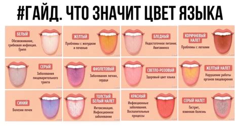 Влияние прилипания к металлическим предметам на цвет и чувствительность языка