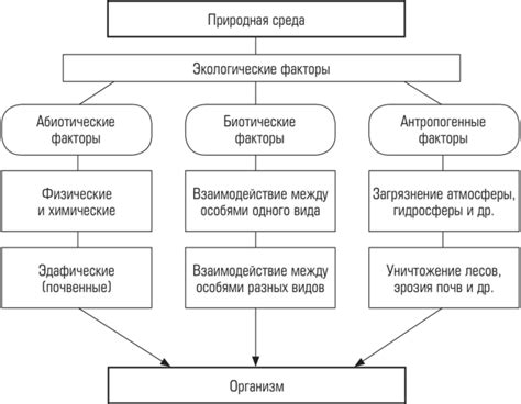 Влияние структуры на взаимодействие с окружающей средой