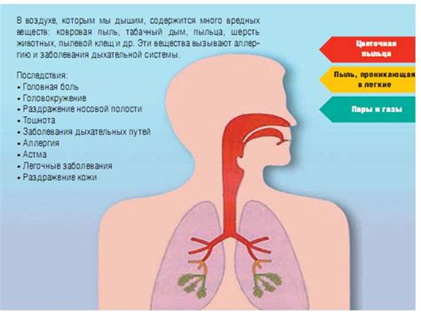 Влияние сурьмы на здоровье человека