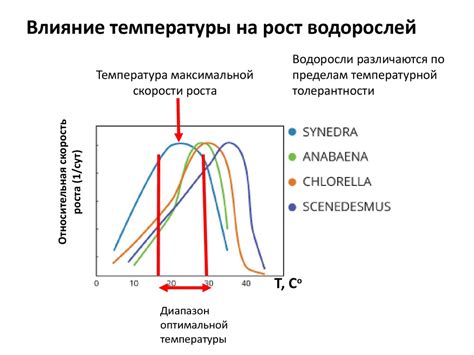 Влияние температуры на длину