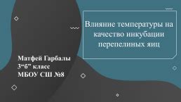 Влияние температуры на качество покраски