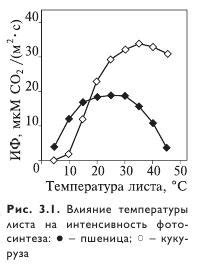 Влияние термического шока на деформацию