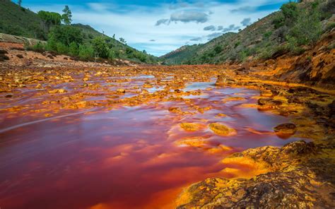 Влияние токсичности тяжелых металлов на водоемы: проблема