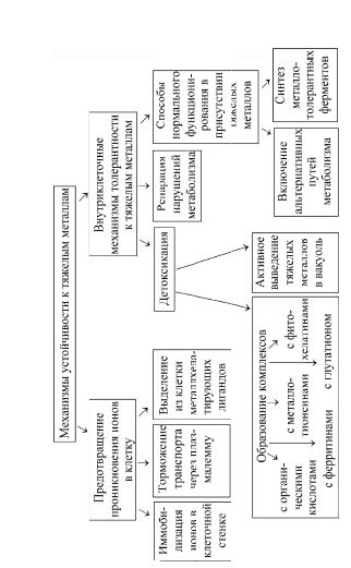 Влияние тяжелых металлов на биологические процессы