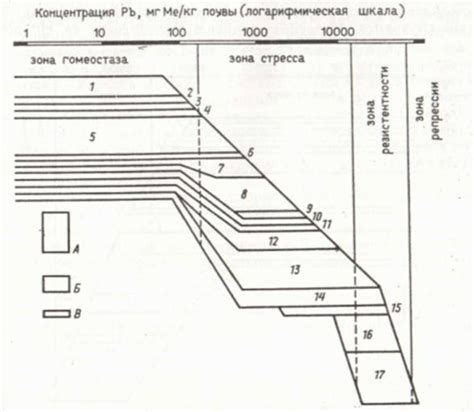 Влияние тяжелых металлов на микроорганизмы в почве