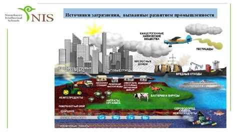 Влияние тяжелых металлов на химическое загрязнение: проблемы и решения