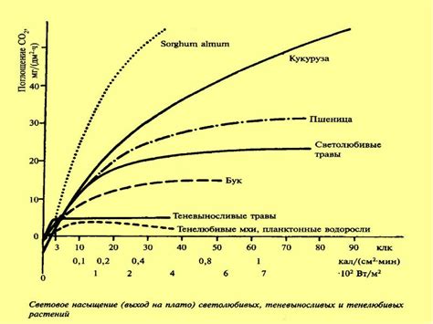 Влияние увеличения интенсивности света на металл