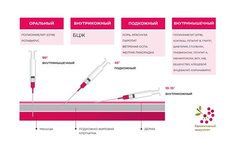 Влияние условий введения вакцины на возникновение прилипания металла