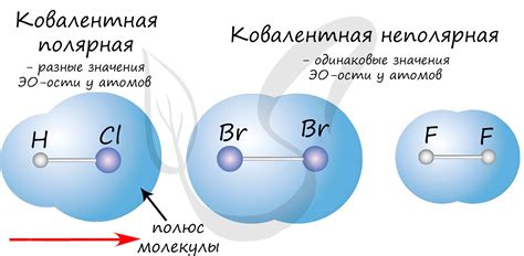 Влияние электроотрицательности на ковалентную связь