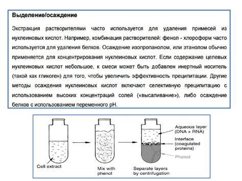 Влияние pH на полноту осаждения ионов тяжелых металлов