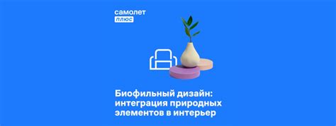 Вмешательство природных элементов в дизайн дороги