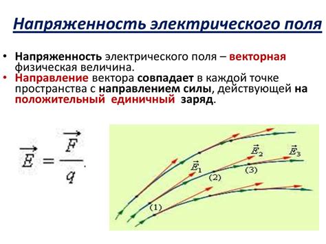 Внешние электрические и магнитные поля