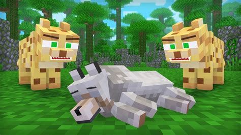 Внешний вид оцелота в Minecraft: как выглядит, особенности и возможности в игре