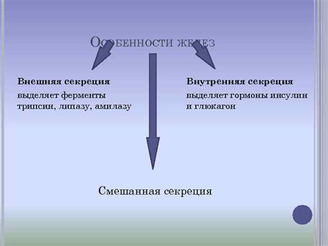 Внутренняя или внешняя секреция: что происходит в организме?