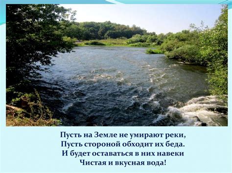 Вода: состав, свойства и значение для жизни на Земле