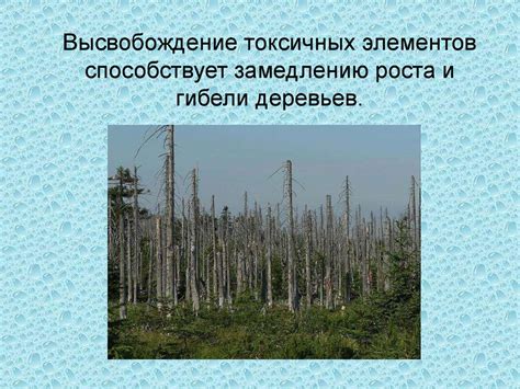 Воздействие ветерка на окружающую природу осенью