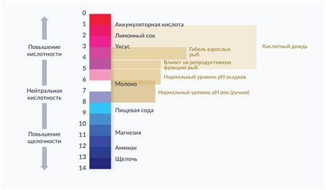 Воздействие влаги и кислотных веществ