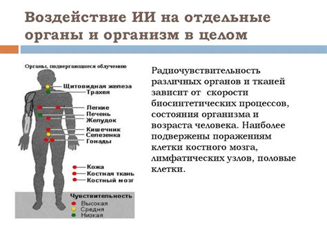 Воздействие металла на органы