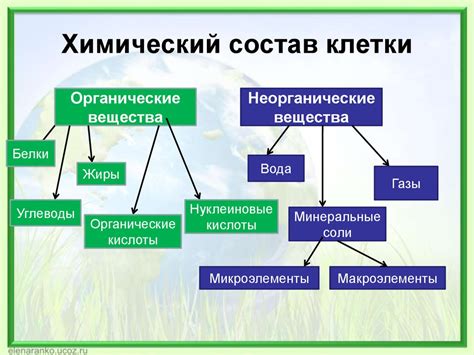 Воздействие на клетки