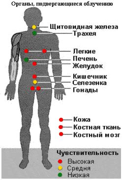 Воздействие на человеческое здоровье