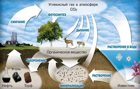 Воздействие углекислого газа на металлы: причины и последствия