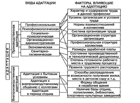 Возможности адаптации и модификации